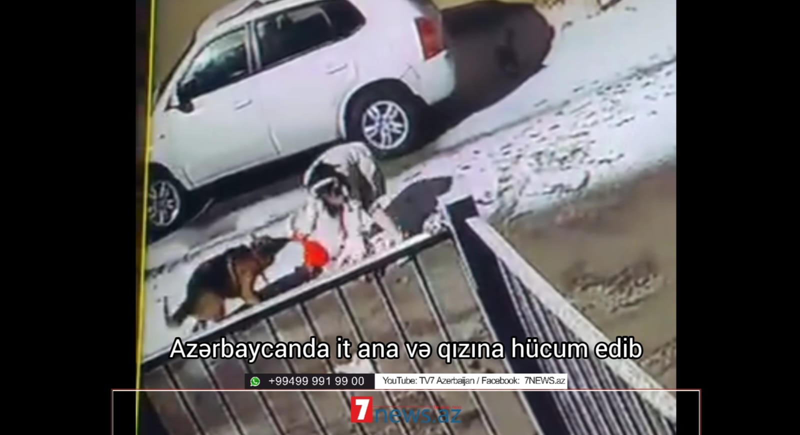 Azərbaycanda it ana və qızına hücum edib - DƏHŞƏTLİ VİDEO