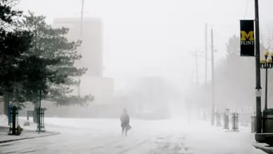 ABŞ-da qütb soyuğu nəticəsində 6 gündə 21 nəfər öldü