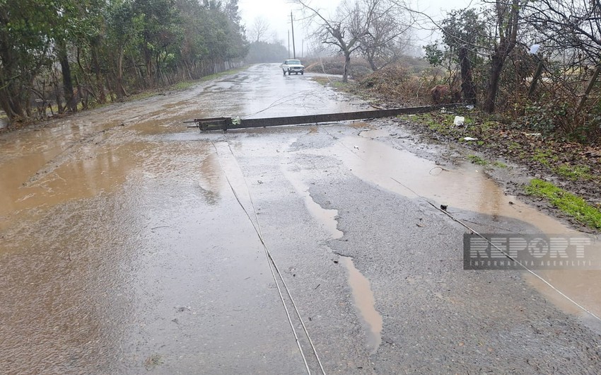 Lənkəranda avtomobil dirəyə çırpılıb, yeniyetmə ölüb
