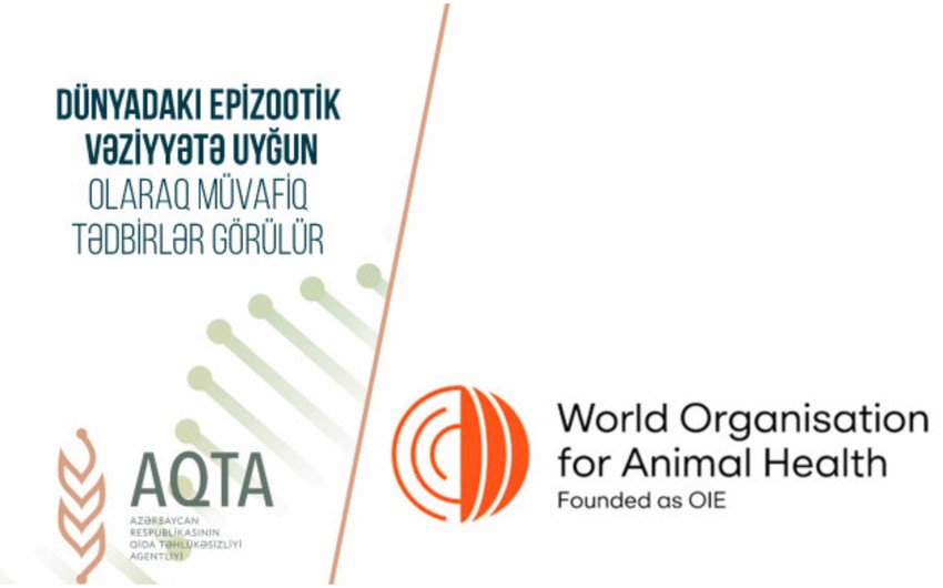 Moldova və Liviyanın bəzi bölgələrindən Azərbaycana quş ətinin gətirilməsinə məhdudiyyət qoyulub