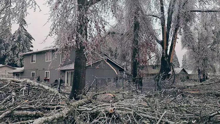 ABŞ-da ölənlərin sayı 90-a yaxınlaşıb