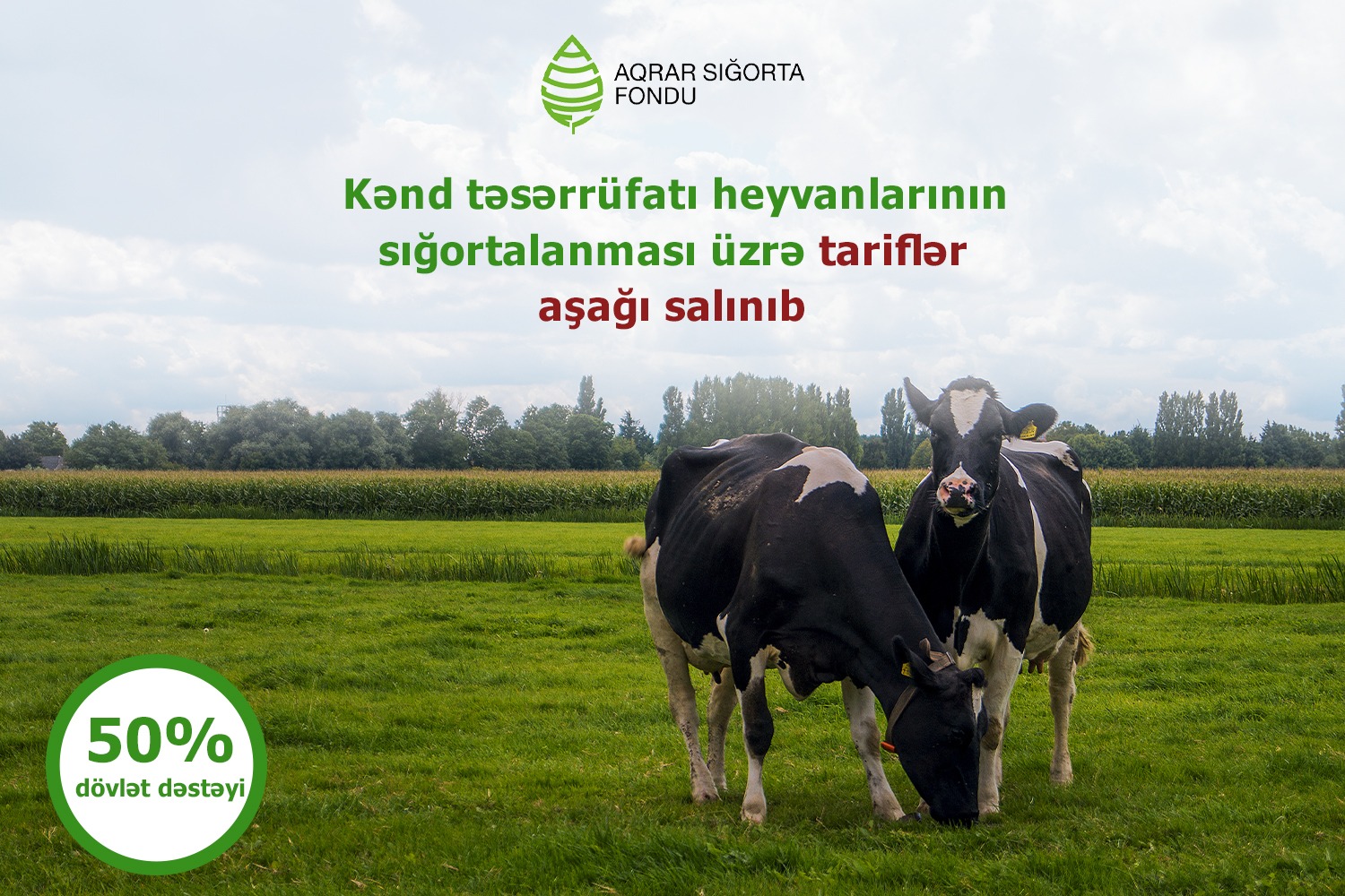 Kənd təsərrüfatı heyvanlarının sığortalanması üzrə tariflər endirilib