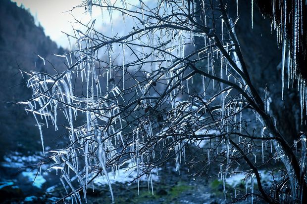 Yağıntılar kəsilib, şaxtalı hava davam edib - FAKTİKİ HAVA