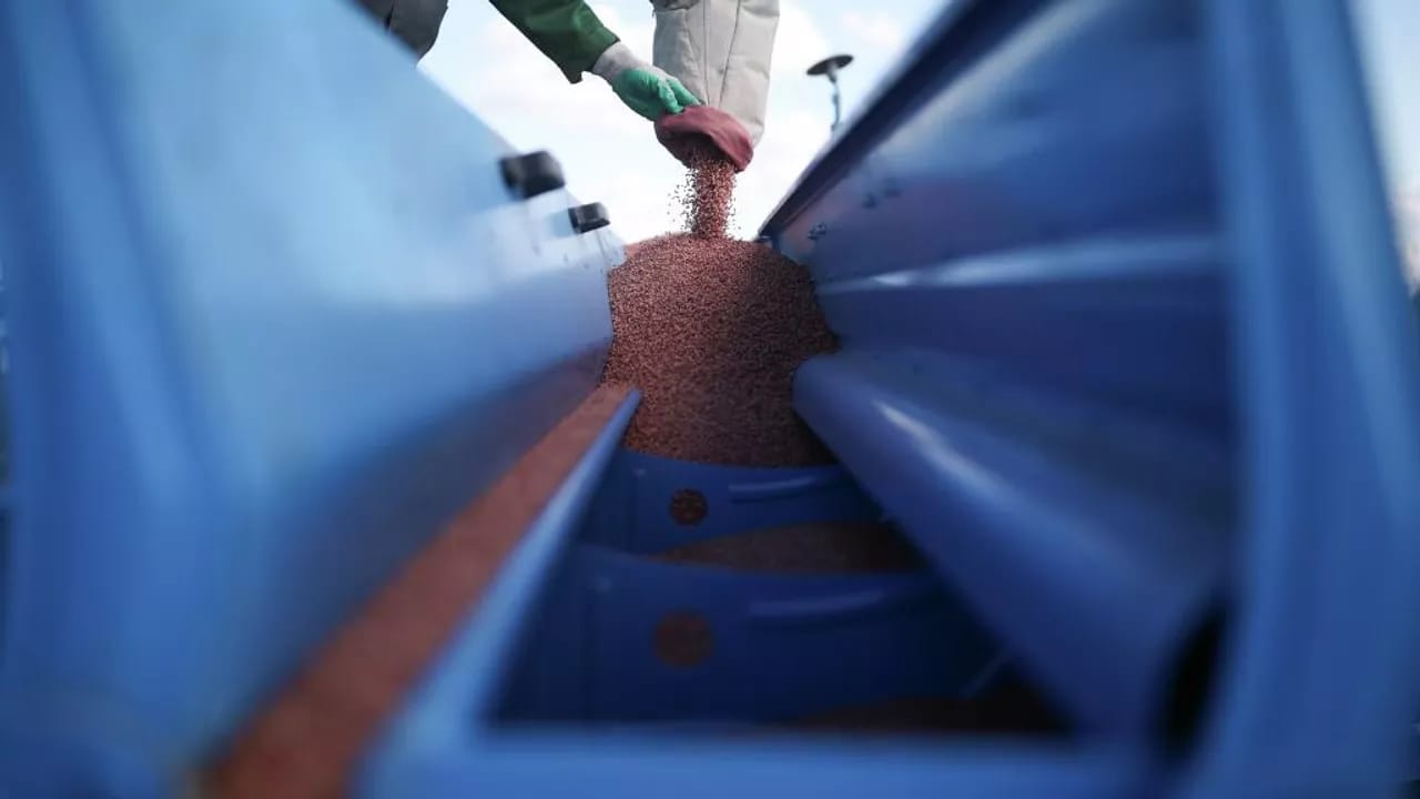 Rusiya Nigeriyaya pulsuz olaraq 34 min ton gübrə göndərib