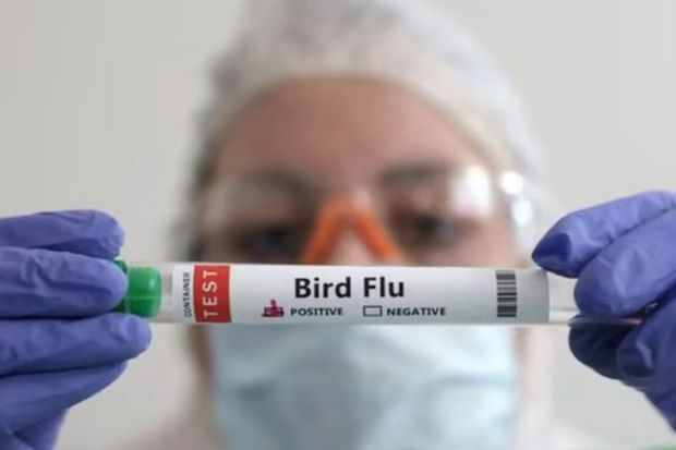 Çində eyni vaxtda iki növ quş qripinə yoluxan qadın ölüb