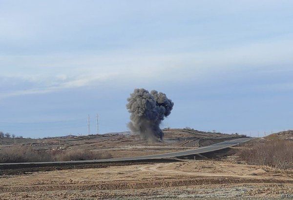 Tərtərdə heyvan otaran şəxs minaya düşüb, araşdırma aparılır