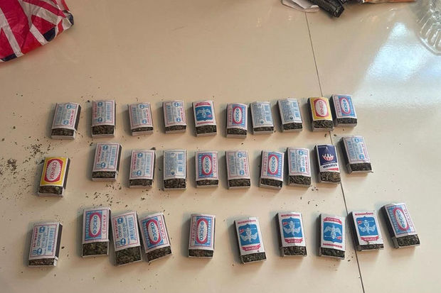 Sabirabadda narkotik vasitələrin dövriyyəsinə qarşı əməliyyatlar keçirilib - FOTO