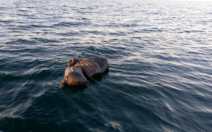 DSX: Xəzər dənizində 14 kiloqramdan çox marixuana aşkarlanıb