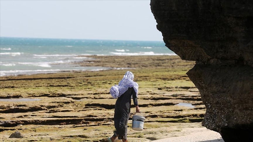 İran Qeşm adasına tikiləcək körpü üçün çinlilərlə razılığa gəlib