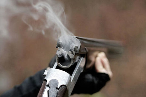 Məhkəmə qardaşını qətlə yetirən şəxslə bağlı qərar verdi