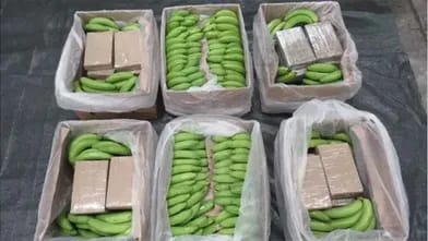 İngiltərədə banan yüklü konteynerdə 5,7 ton narkotik maddə ələ keçirildi
