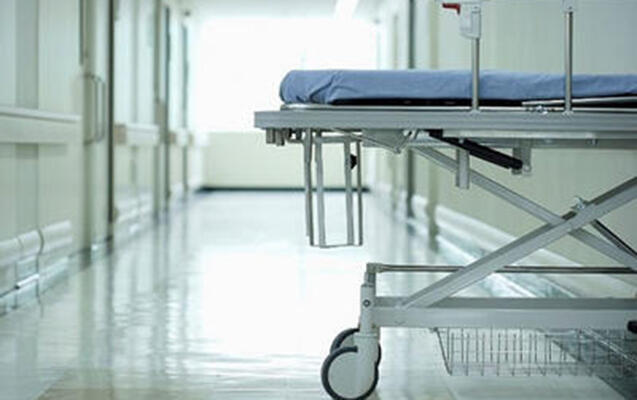 Qobuda uşağı it parçalayıb - VİDEO