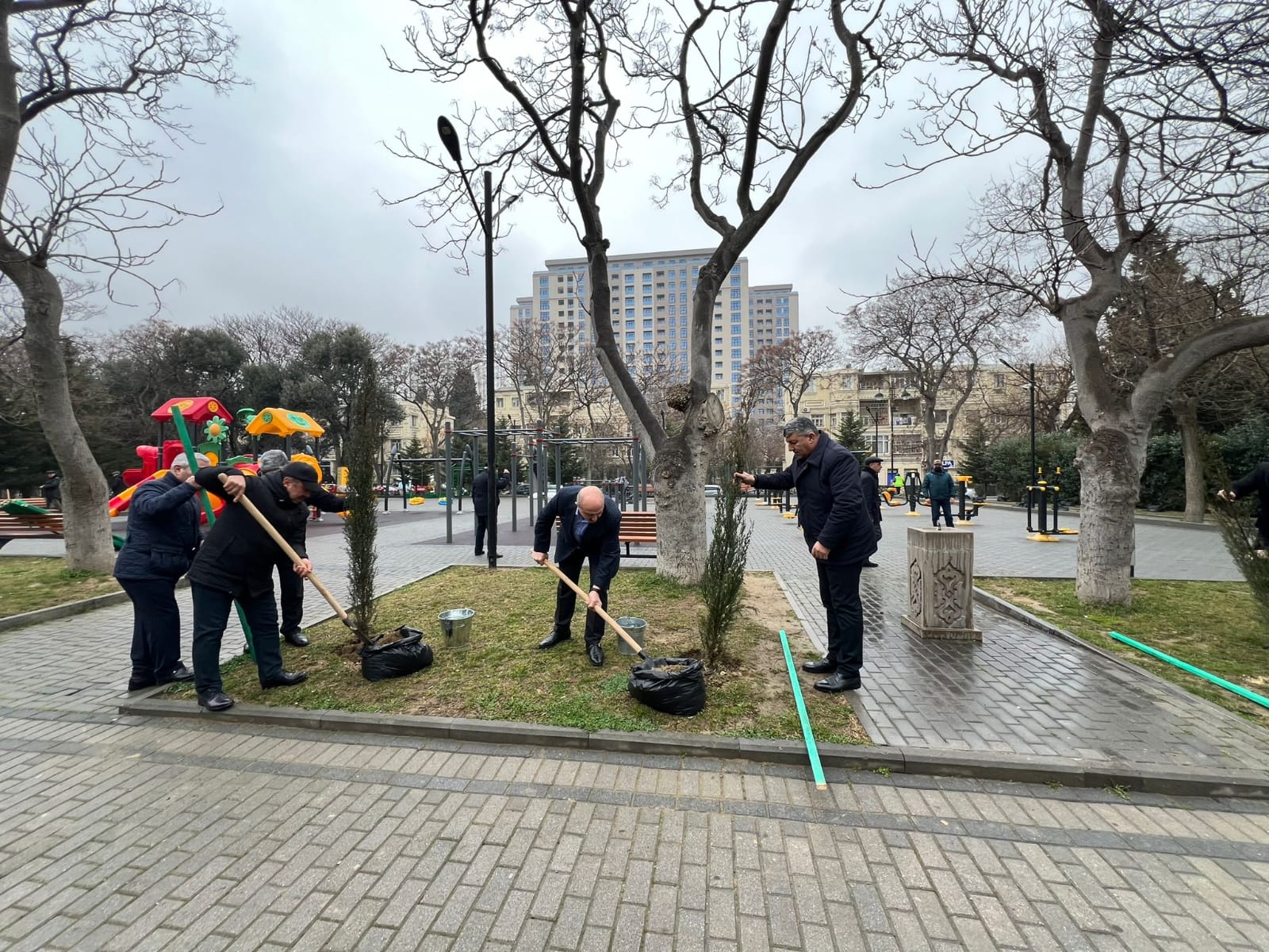 Nəsimi rayonunda iməclikdə yeni agaclar əkildi