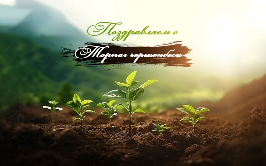 Сегодня в Азербайджане отмечается 