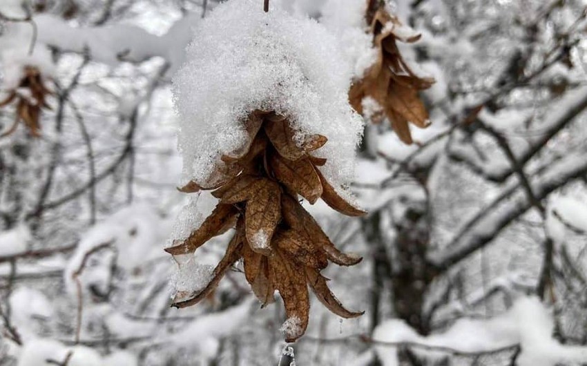 Şahdağa 31 sm qar yağıb, dağlarda şaxta olub - FAKTİKİ HAVA