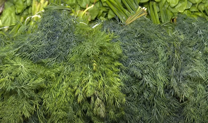 İrandan Azərbaycana gətirilən şüyüdə zərərli kimyəvi maddə vurulur? - VİDEO