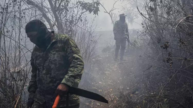 Meksika meşə yanğınları davam edir