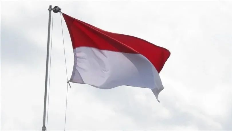 İndoneziya nikel istehsalını artırmaq planları ilə irəliləyir