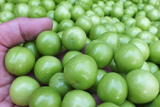 Bir müddət əvvəl kiloqramı 500 manata təklif olunan alça kəskin ucuzlaşıb - VİDEO