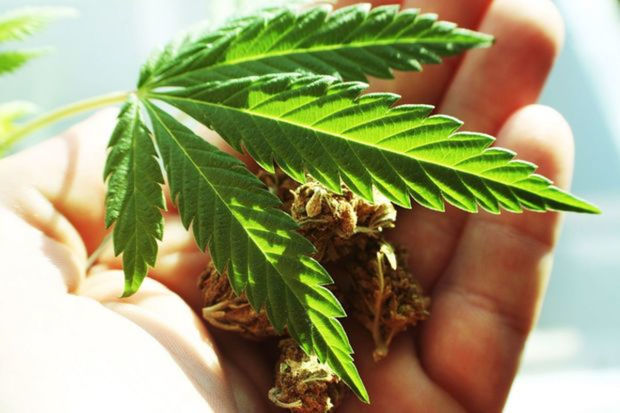 Bu gündən Almaniyada küçədə marixuana çəkməyə icazə verilir