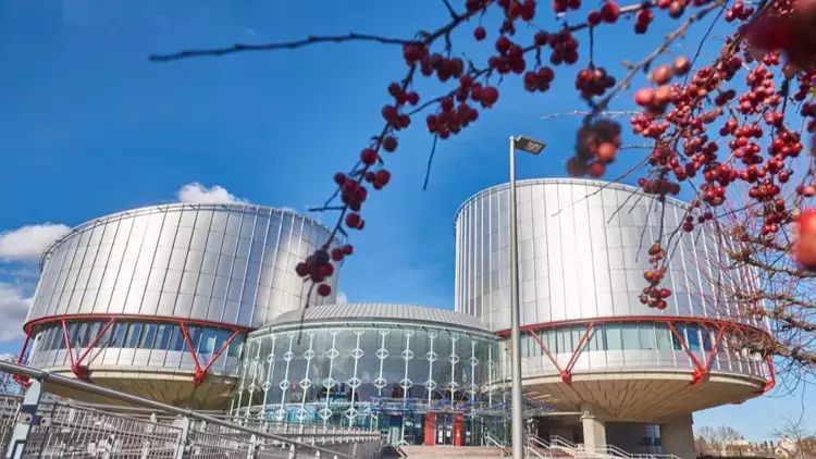 Dörd isveçrəli qadın iqlim davasında qalib gəldi