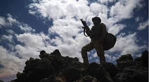 Türkiyə ordusu İraq və Suriyada 19 terrorçunu zərərsizləşdirib