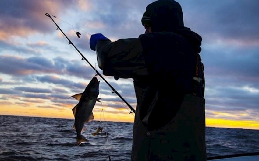 Azərbaycanda mayın 1-dən balıq ovu qadağan edilir