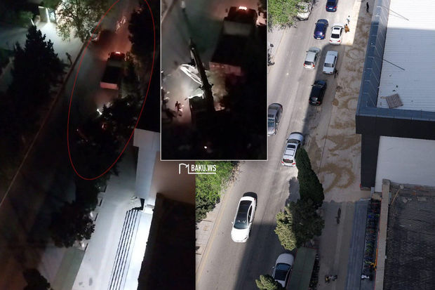 Xırdalanda gecə ilə ağacları kökündən çıxarıb izini itirdilər - FOTO/VİDEO