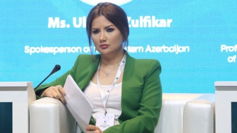 Ülviyyə Zülfiqar televiziya rəhbəri təyin olundu