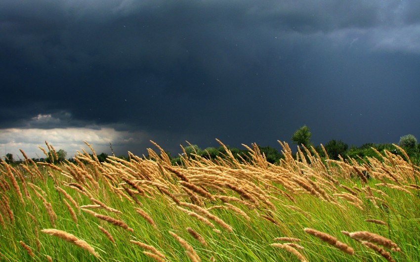 Şimal-qərb küləyi sabah axşamadək davam edəcək - FAKTİKİ HAVA