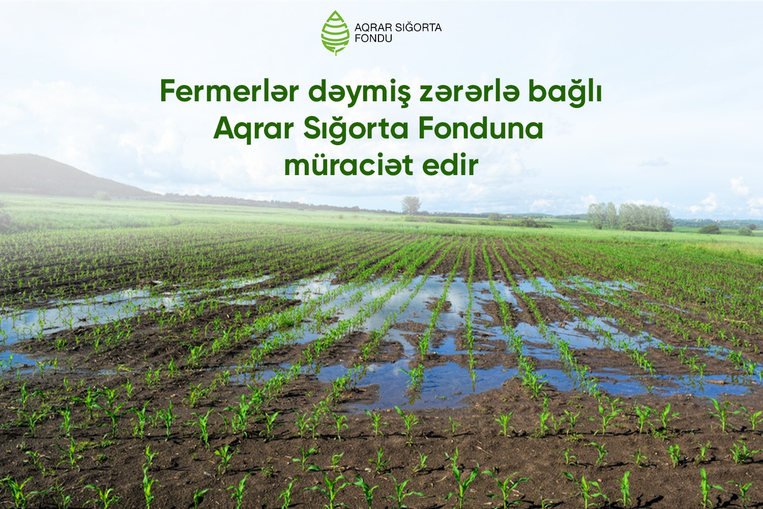 Aqrar Sığorta Fondu: Hava şəraitinin dəyişməsi ilə əlaqədar təsərrüfatlara zərər dəyməsi barədə 20 müraciət daxil olub