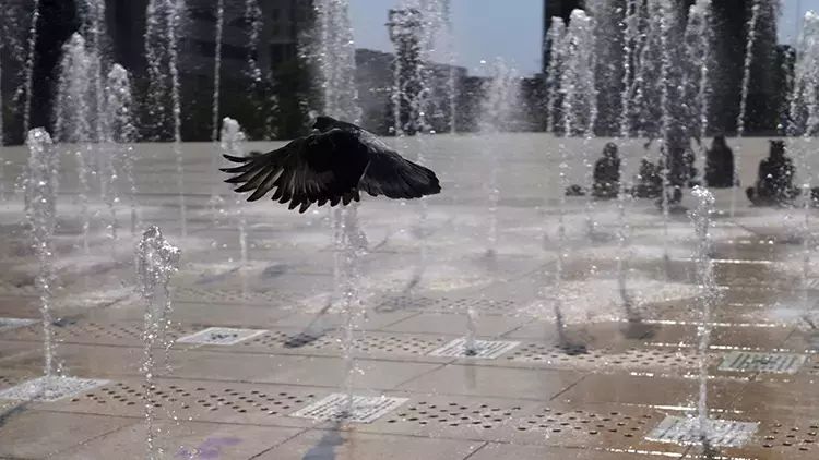 Meksikada həddindən artıq istilər 21 ştatı işıqsız qoyub