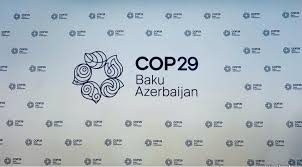 COP29-la bağlı vergi güzəştlərinin tətbiq edilməsi təsdiqlənib