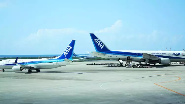 İki sərnişin təyyarəsi apronda toqquşub