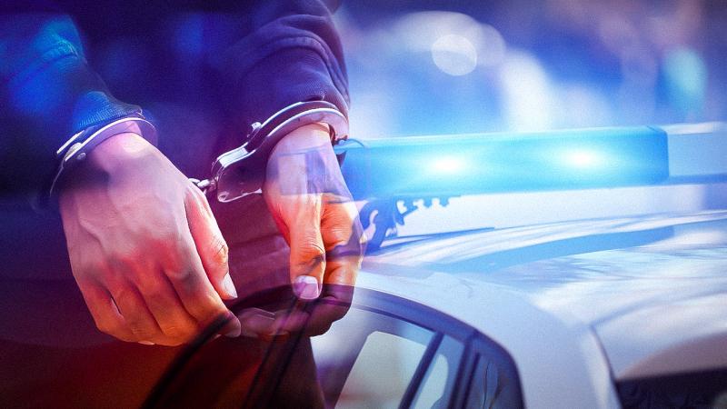 “İnterpol” tərəfindən axtarışda olan narkokuryerlər İstanbulda saxlanıldı