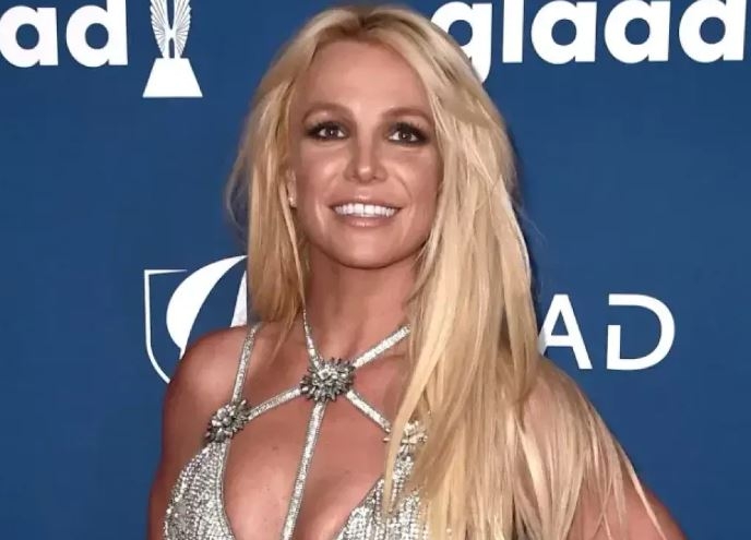 Britni Spirsi qarət ediblər