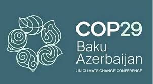 COP29 könüllüləri üçün qeydiyyat başlayıb