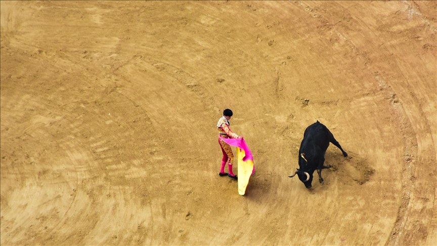 Kolumbiyada öküz döyüşü qadağan edildi