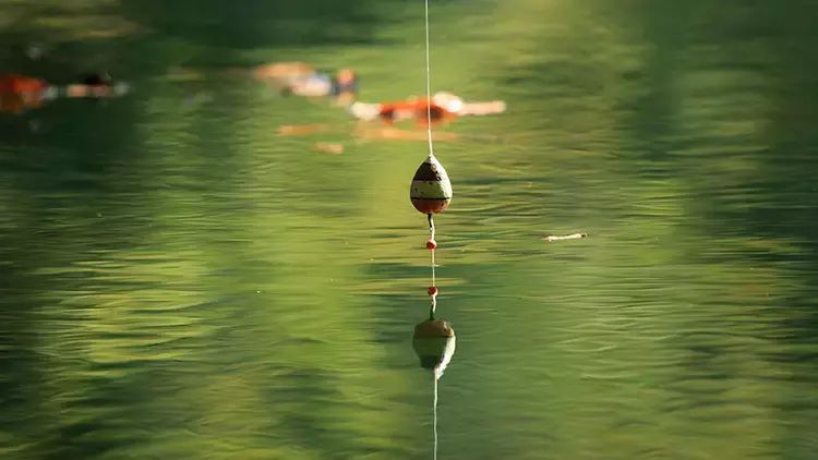 Nyu Yorkda göldə balıq tutarkən 100 min dollar tapıblar