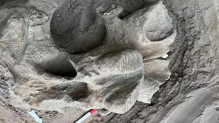 Ocaqda 4 min illik mamont sümükləri tapdılar