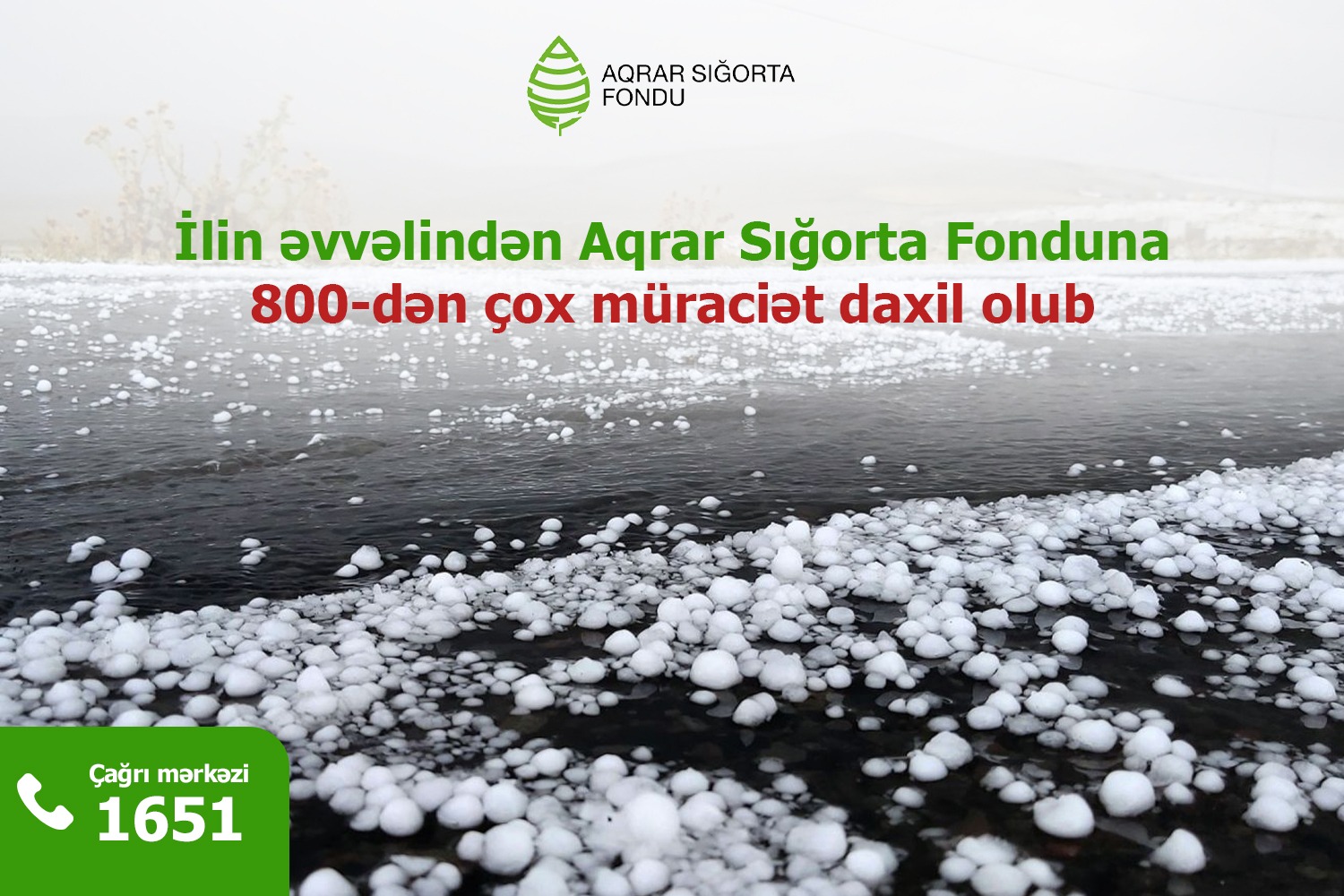 2024-cü ilin 5 ayında qeyri-sabit hava şəraiti ilə əlaqədar Aqrar Sığorta Fonduna 800-dən çox müraciət daxil olub