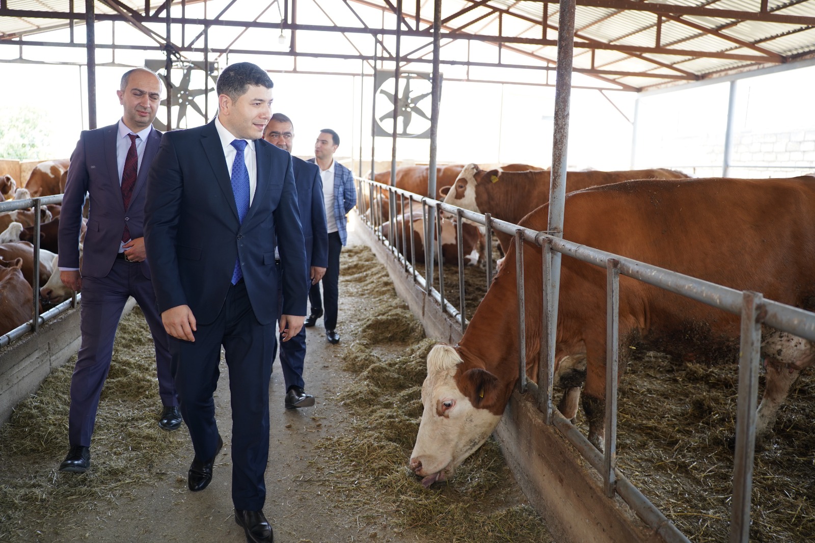 Aqrar Kredit və İnkişaf Agentliyinin sədri Seymur Mövlayev Xızıda vətəndaşları qəbul edib, təsərrüfatlara baş çəkib