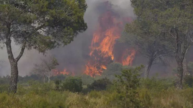 Fransada meşə yanğınında 600 hektar ərazi yanaraq kül olub