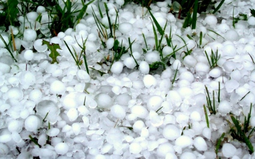 Qaxa güclü dolu düşüb, meyvə ağaclarına və təsərrüfatlara ziyan dəyib