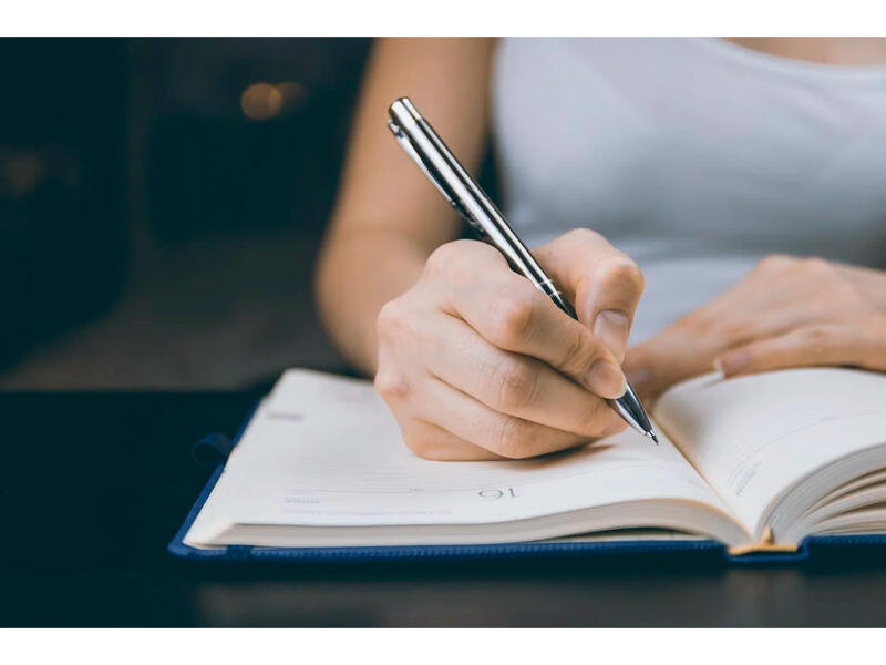 Magistraturaya ixtisas seçimi başlayır