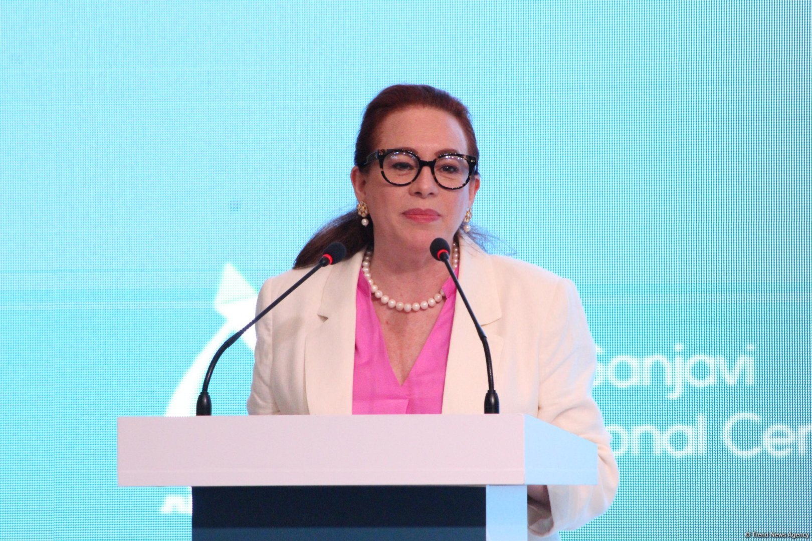 BMT Baş Assambleyasının 73-cü sessiyasının sədri: COP29-un uğuru təkcə Azərbaycanın uğuru olmayacaq