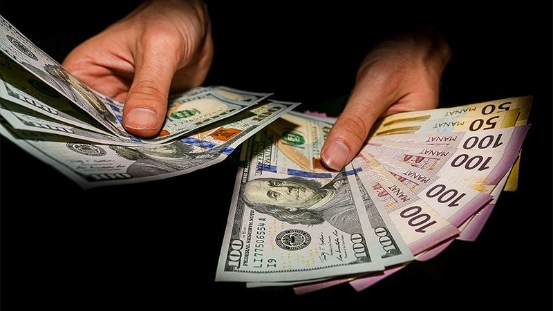 Manatın məzənnəsi üçün təhlükə varmı? (VİDEO)