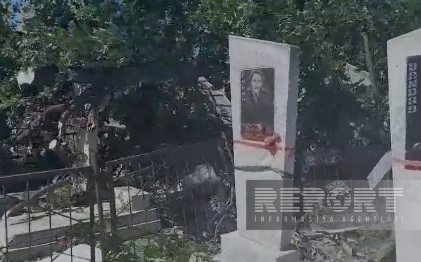 Bərdədə güclü külək çoxillik ağacı aşırıb, bir neçə qəbir dağılıb