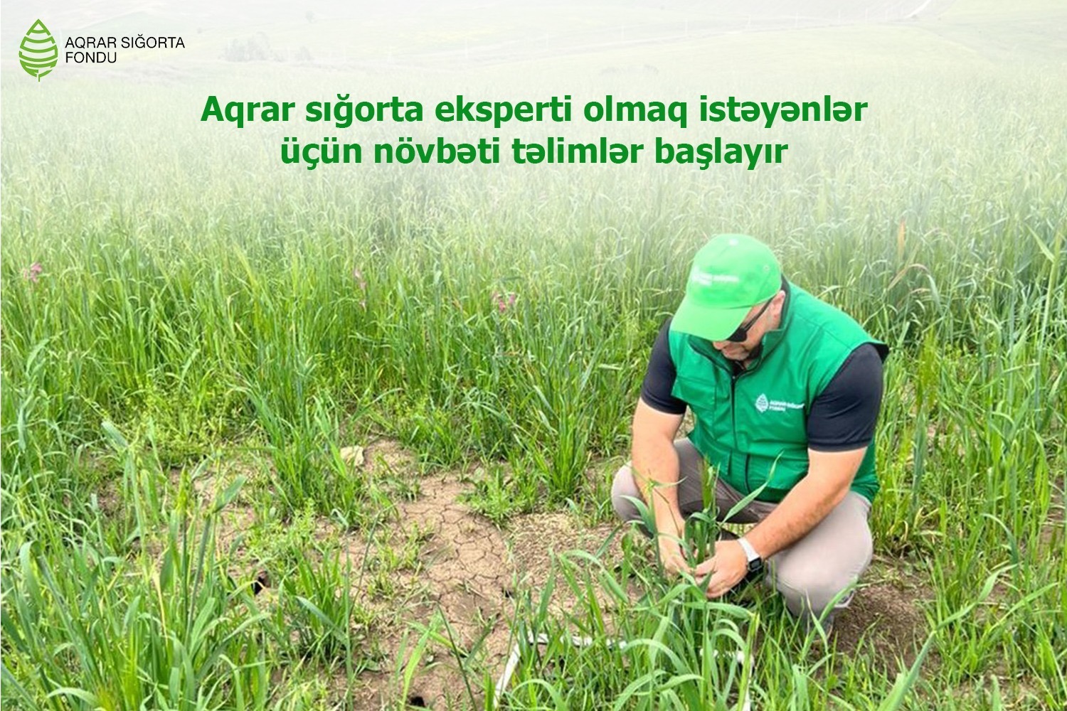 Aqrar sığorta eksperti olmaq istəyənlər üçün növbəti təlimlər başlayır