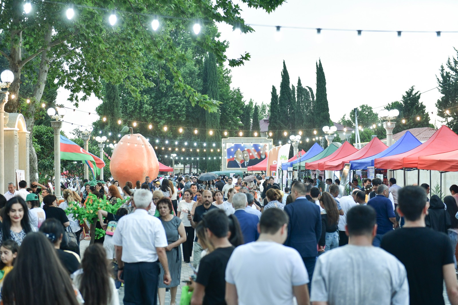 Bu ilin 6 ayı ərzində 10 rayonda keçirilmiş Aqrar Biznes festivallarına 6756 fermer qatılıb